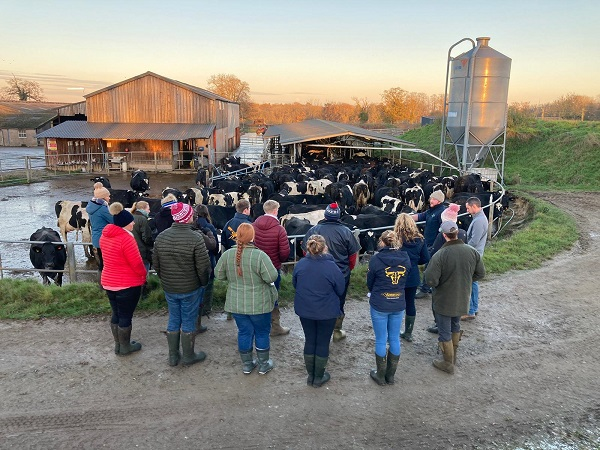 A group of people looking at dairy cows.